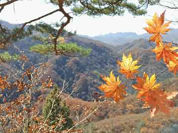 衣不兼采