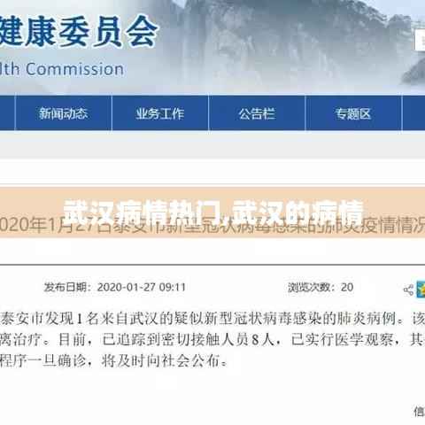 武汉病情热门,武汉的病情