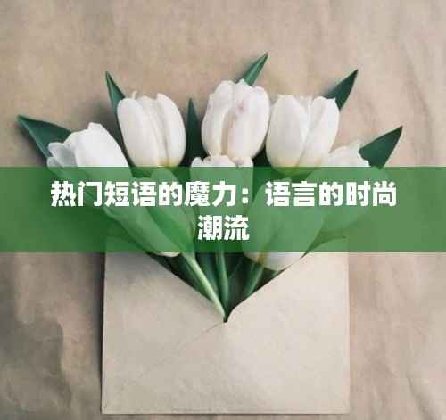热门短语的魔力:语言的时尚潮流