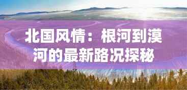 北国风情:根河到漠河的最新路况探秘