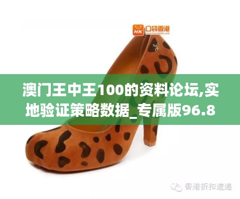 澳门王中王100的资料论坛,实地验证策略数据_专属版96.867-9