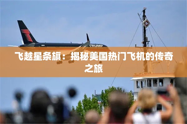 飞越星条旗：揭秘美国热门飞机的传奇之旅