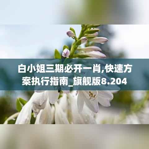 白小姐三期必开一肖,快速方案执行指南_旗舰版8.204
