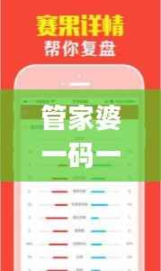 管家婆一码一肖100中奖青岛,实地调研解释定义_L版6.710