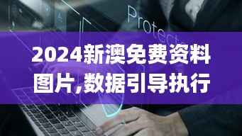 2024新澳免费资料图片,数据引导执行计划_领航版5.382
