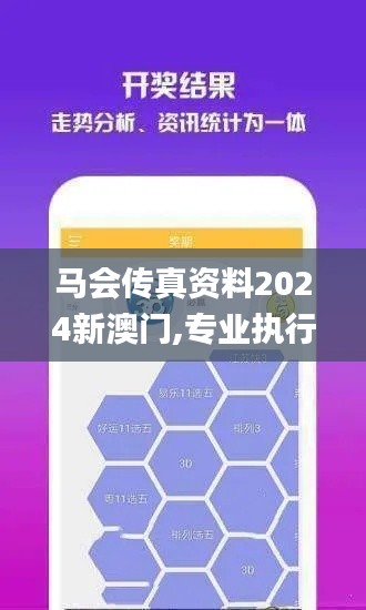 马会传真资料2024新澳门,专业执行解答_Holo7.723