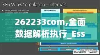 262233com,全面数据解析执行_Essential9.744