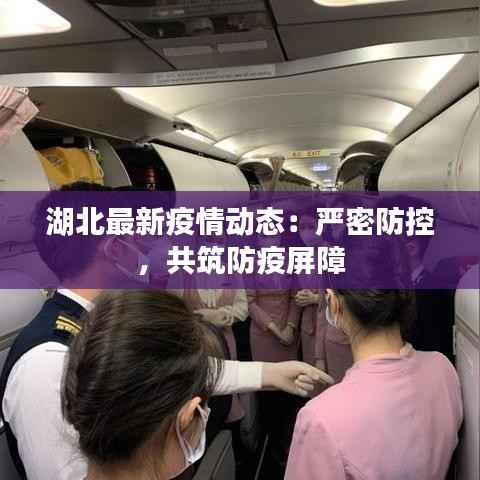 湖北最新疫情动态：严密防控，共筑防疫屏障