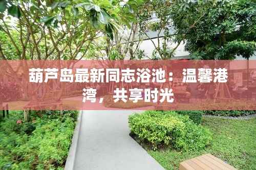 葫芦岛最新同志浴池：温馨港湾，共享时光