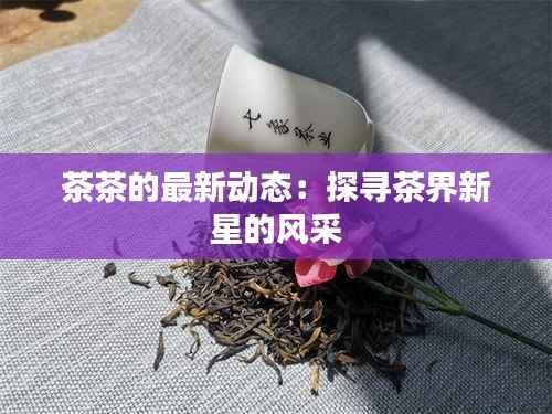 茶茶的最新动态：探寻茶界新星的风采