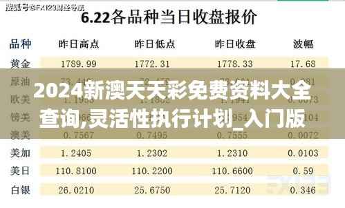 2024新澳天天彩免费资料大全查询,灵活性执行计划_入门版5.206