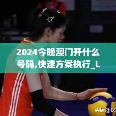 2024今晚澳门开什么号码,快速方案执行_Lite2.194