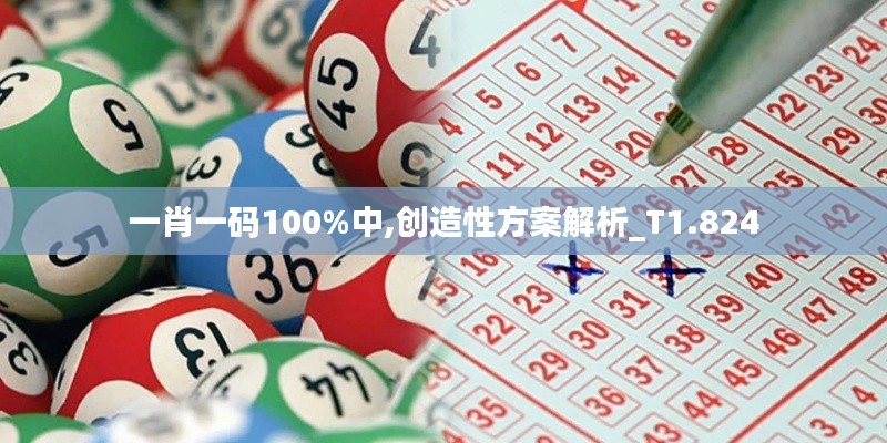 一肖一码100%中,创造性方案解析_T1.824