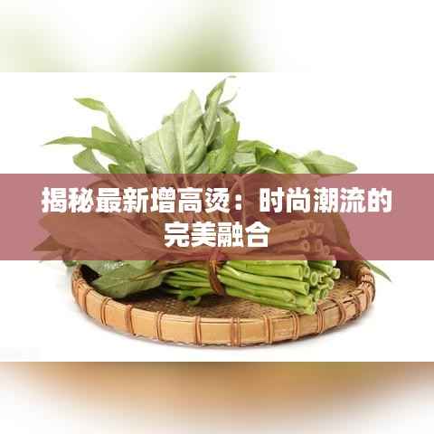 揭秘最新增高烫:时尚潮流的完美融合