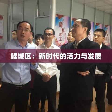 鲤城区:新时代的活力与发展