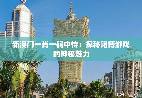 新澳门一肖一码中恃:探秘赌博游戏的神秘魅力