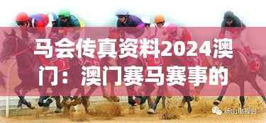 马会传真资料2024澳门:澳门赛马赛事的科技革新