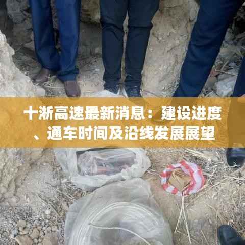 晋惠闻蛙 第3页