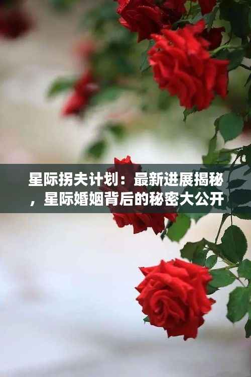 星际拐夫计划:最新进展揭秘,星际婚姻背后的秘密大公开!