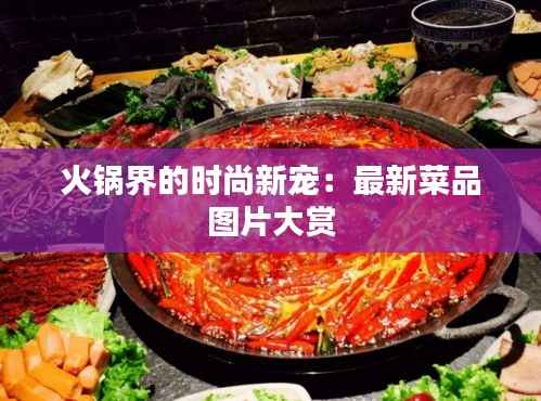 火锅界的时尚新宠：最新菜品图片大赏
