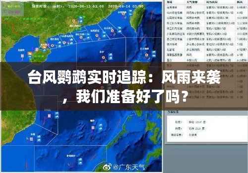 台风鹦鹉实时追踪：风雨来袭，我们准备好了吗？