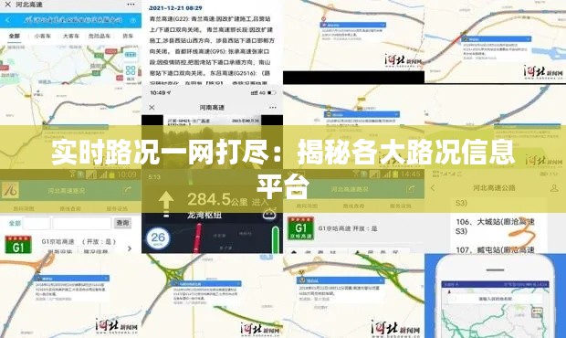 实时路况一网打尽:揭秘各大路况信息平台