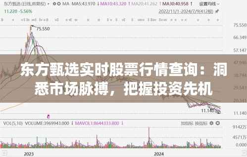 东方甄选实时股票行情查询：洞悉市场脉搏，把握投资先机