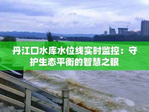 母凭子贵 第4页