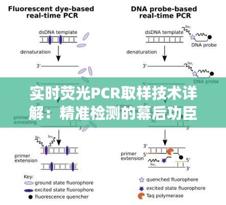 澹泊明志，宁静致远 第4页