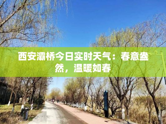 西安灞桥今日实时天气:春意盎然,温暖如春