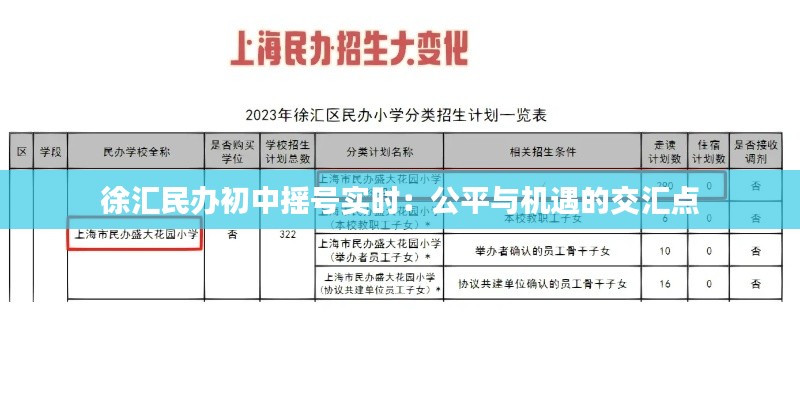 徐汇民办初中摇号实时:公平与机遇的交汇点