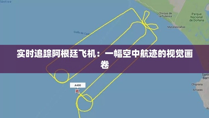 实时追踪阿根廷飞机:一幅空中航迹的视觉画卷