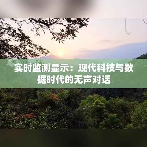 实时监测显示：现代科技与数据时代的无声对话