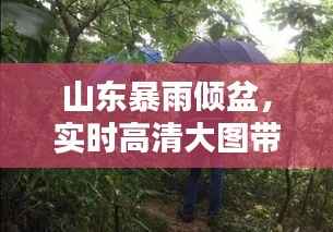山东暴雨倾盆，实时高清大图带你感受雨中风情