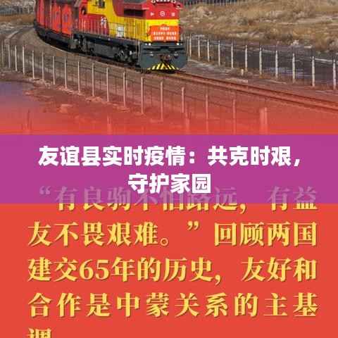 友谊县实时疫情:共克时艰,守护家园