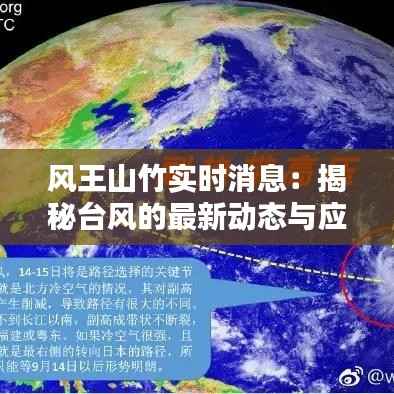 张冠李戴 第3页