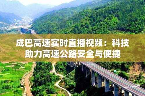 物稀为贵 第2页