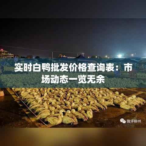 实时白鸭批发价格查询表：市场动态一览无余