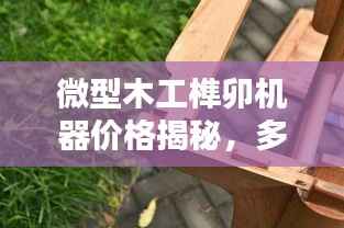 微型木工榫卯机器价格揭秘,多重因素深度解析