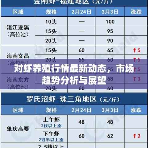 对虾养殖行情最新动态,市场趋势分析与展望