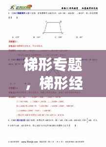 张皇失措 第3页