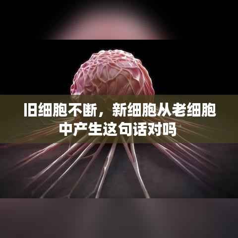 旧细胞不断,新细胞从老细胞中产生这句话对吗