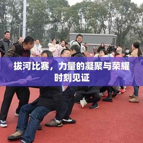 拔河比赛，力量的凝聚与荣耀时刻见证