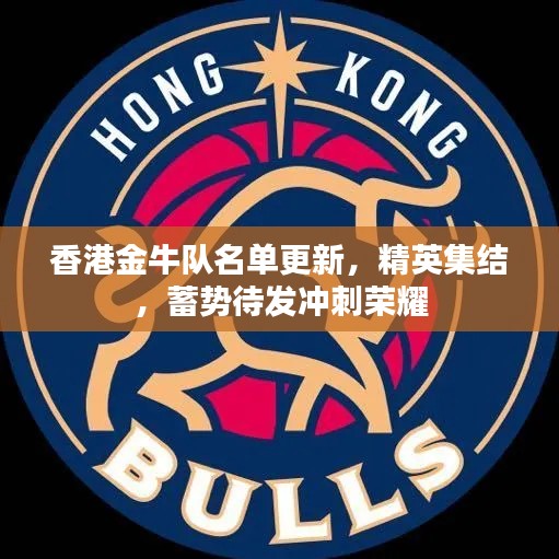 香港金牛队名单更新,精英集结,蓄势待发冲刺荣耀