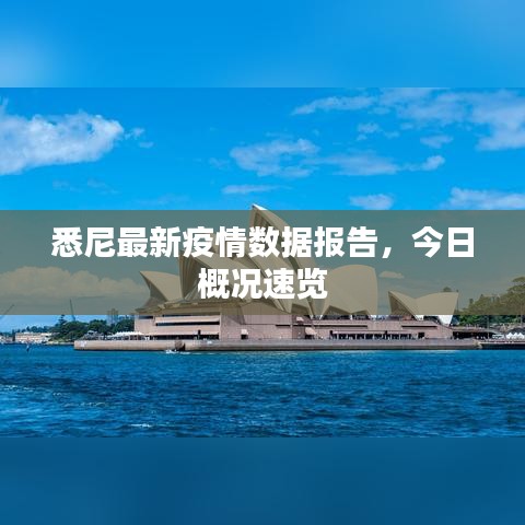 悉尼最新疫情数据报告，今日概况速览