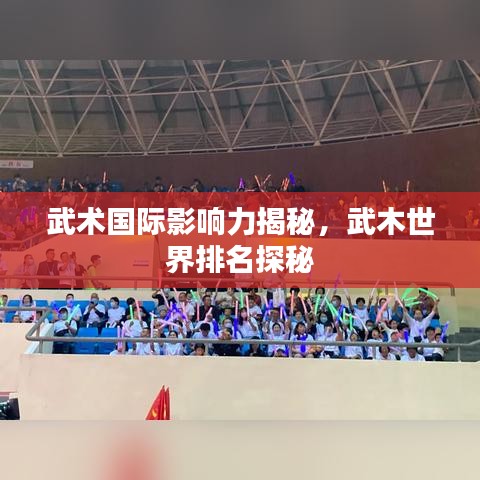 武术国际影响力揭秘,武木世界排名探秘