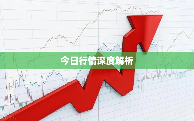 夯雀儿先飞 第2页