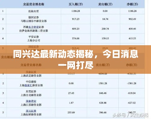 同兴达最新动态揭秘,今日消息一网打尽