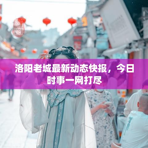 洛阳老城最新动态快报，今日时事一网打尽