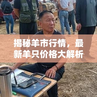 蛙鸣蝉噪 第3页